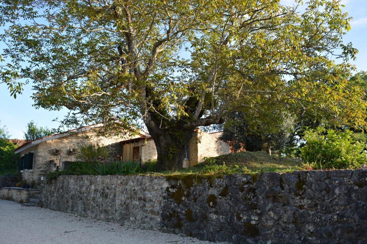 Villa Casa da Pedra Ansião Esterno foto