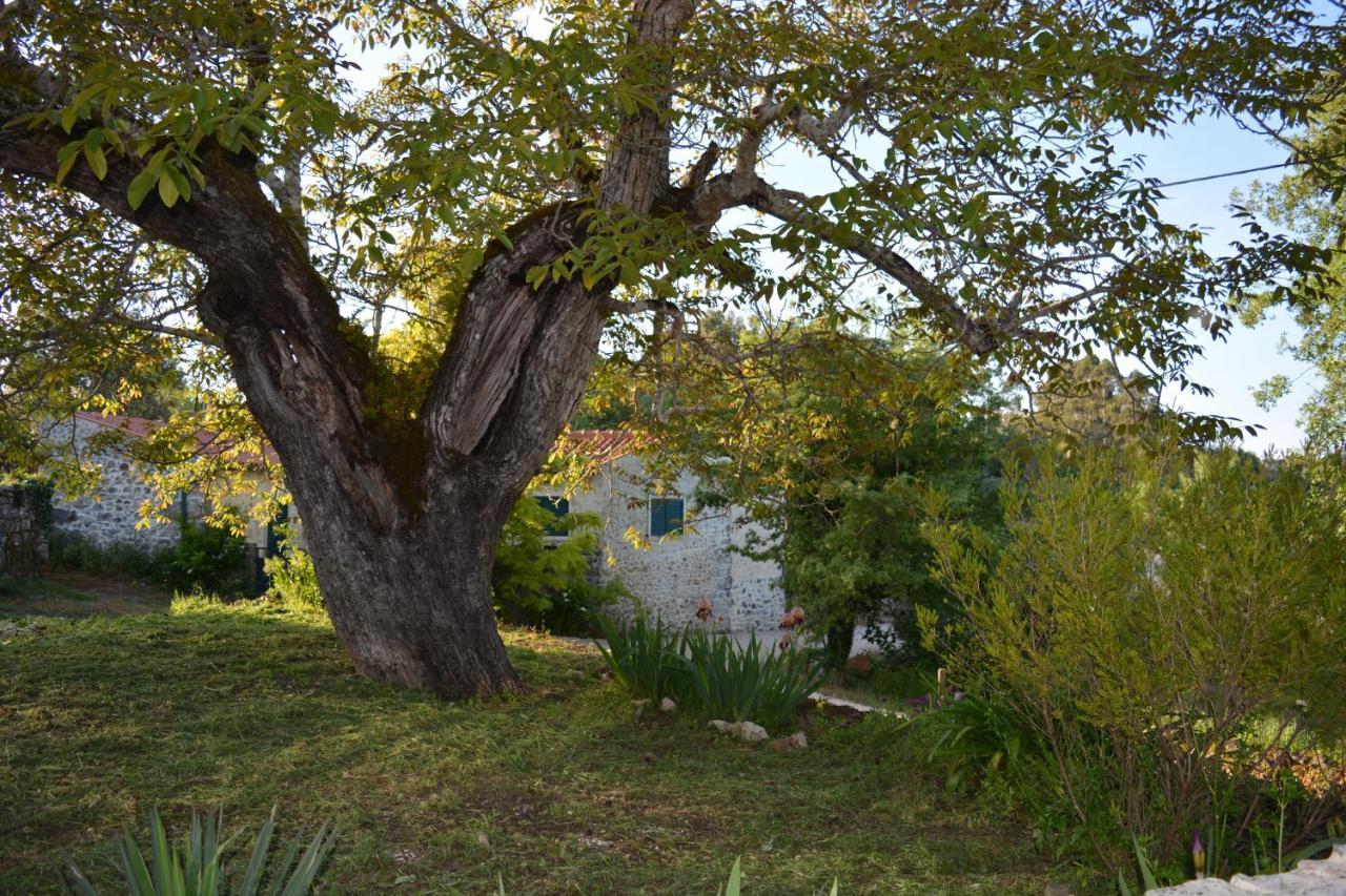 Villa Casa da Pedra Ansião Esterno foto